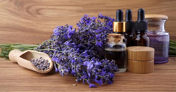 تصویر 4 از خرید و قیمت اسانس خوراکی لوندر + فروش عمده